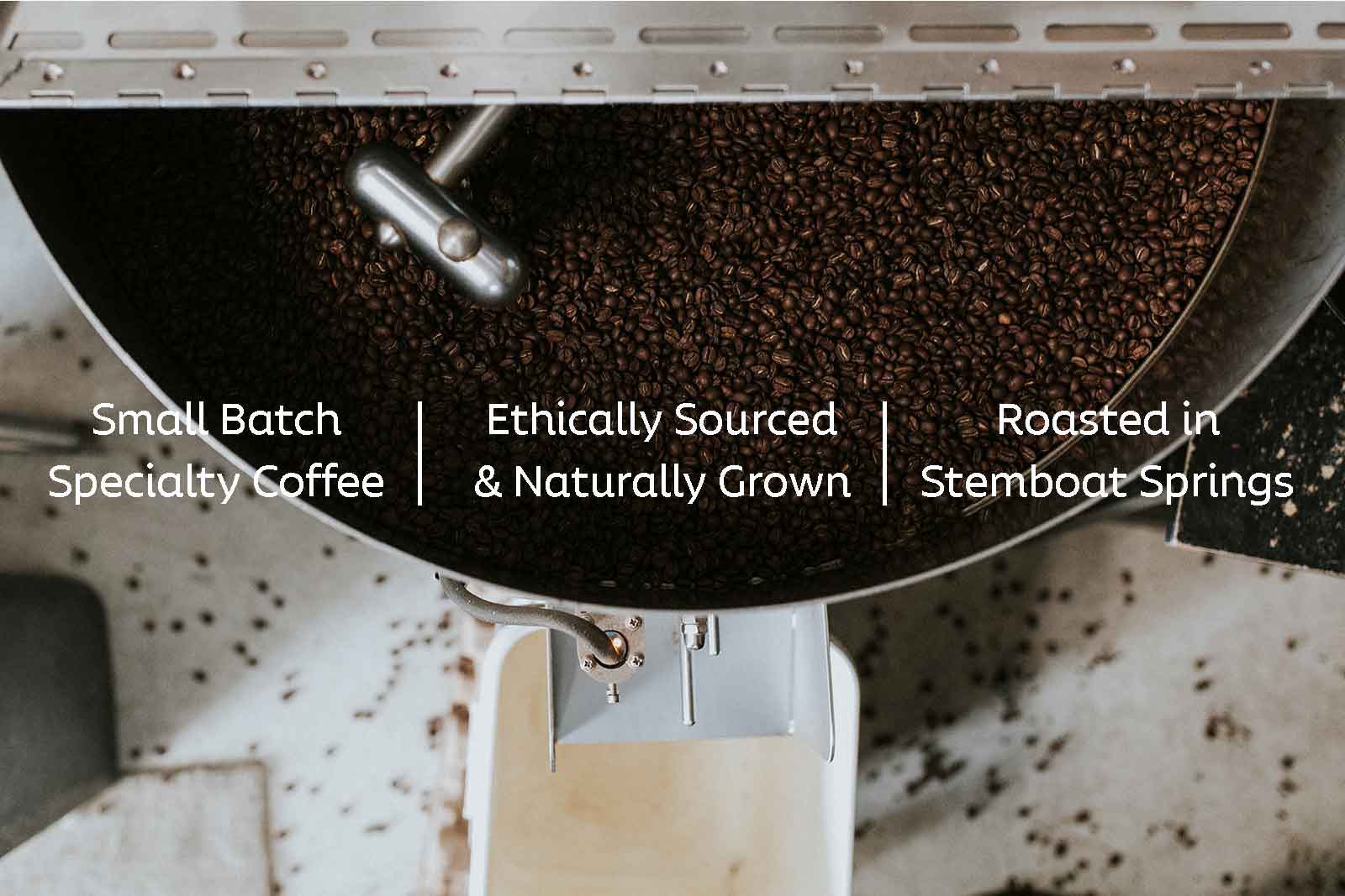 specialty shop coffee roaster